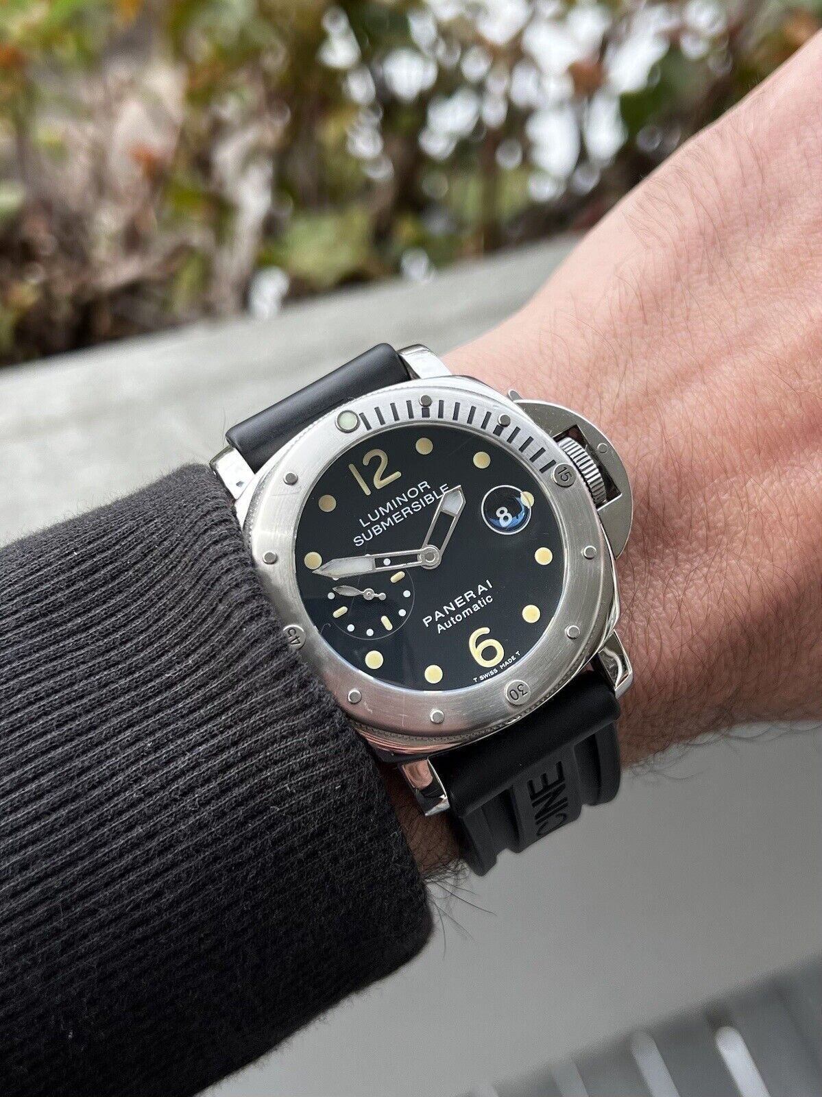 Wrist Panerai Pam 01024 Wrist Pam 024 Panerai Luminor
