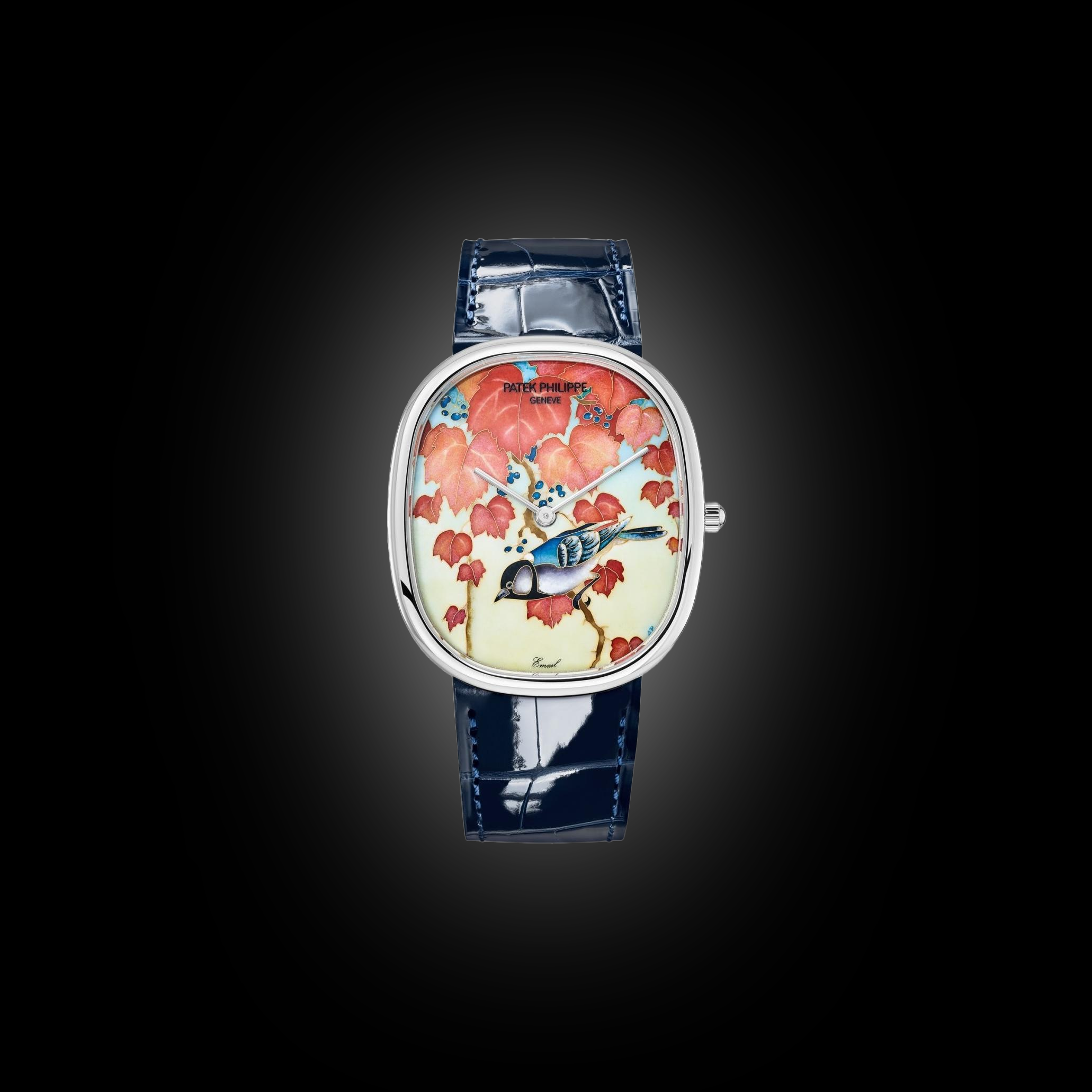 Patek Philippe Golden Ellipse 5738 Multi-Color Dial, White Gold