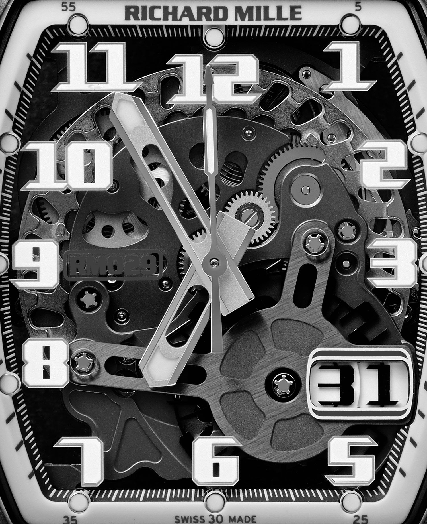 Richard Mille Lifestyle RM 029 Black/Silver Dial, Titanium