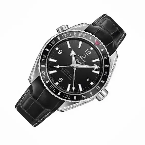 Omega Seamaster Planet Ocean 6000M 232.98 Black Dial, Platinum