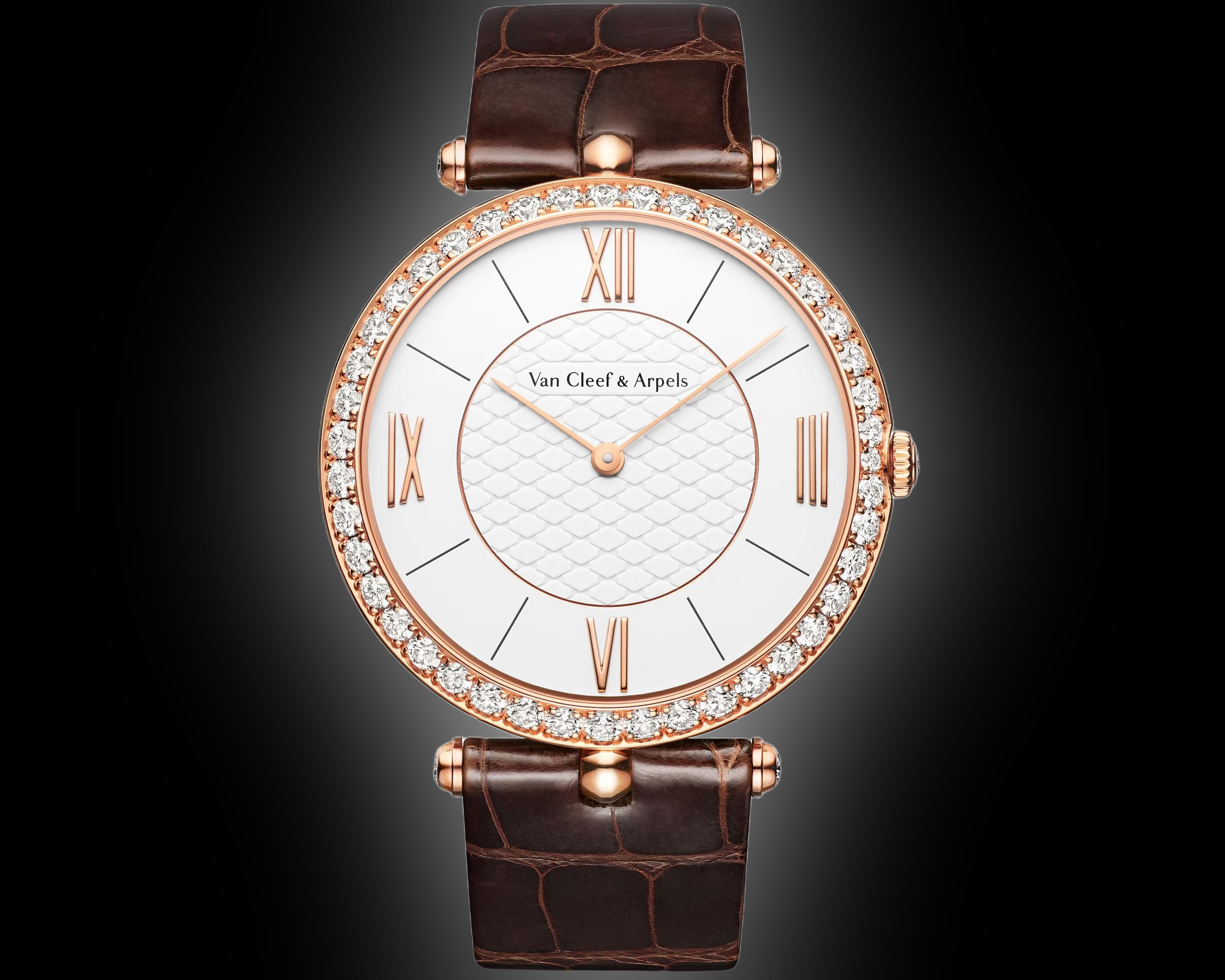 birefnet_final_1756373341_4d4d