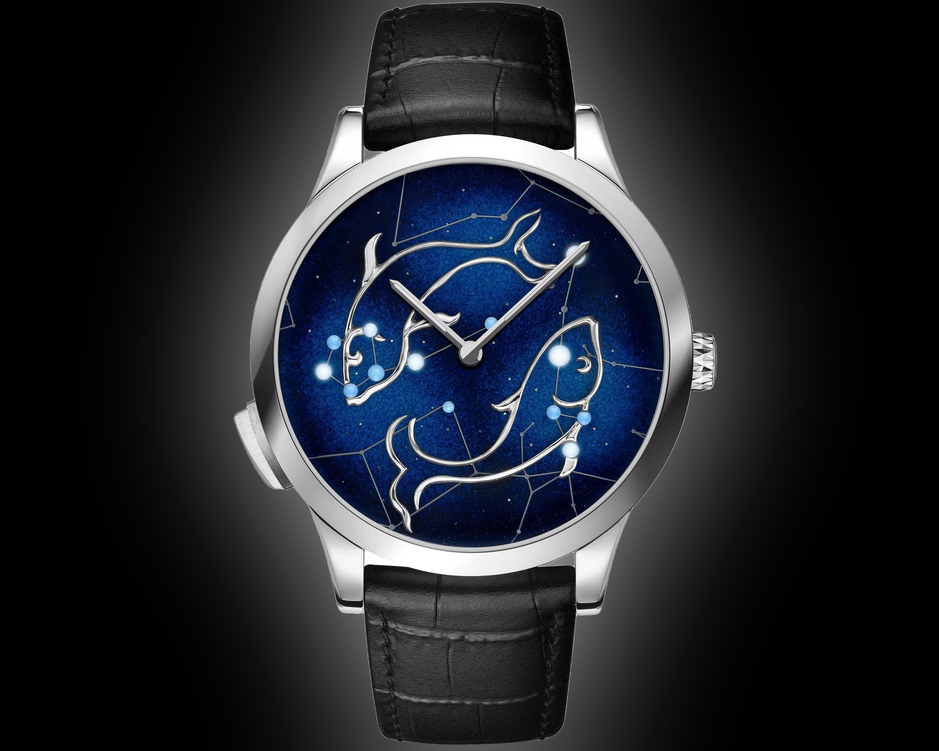 birefnet_final_1756453516_4d4d