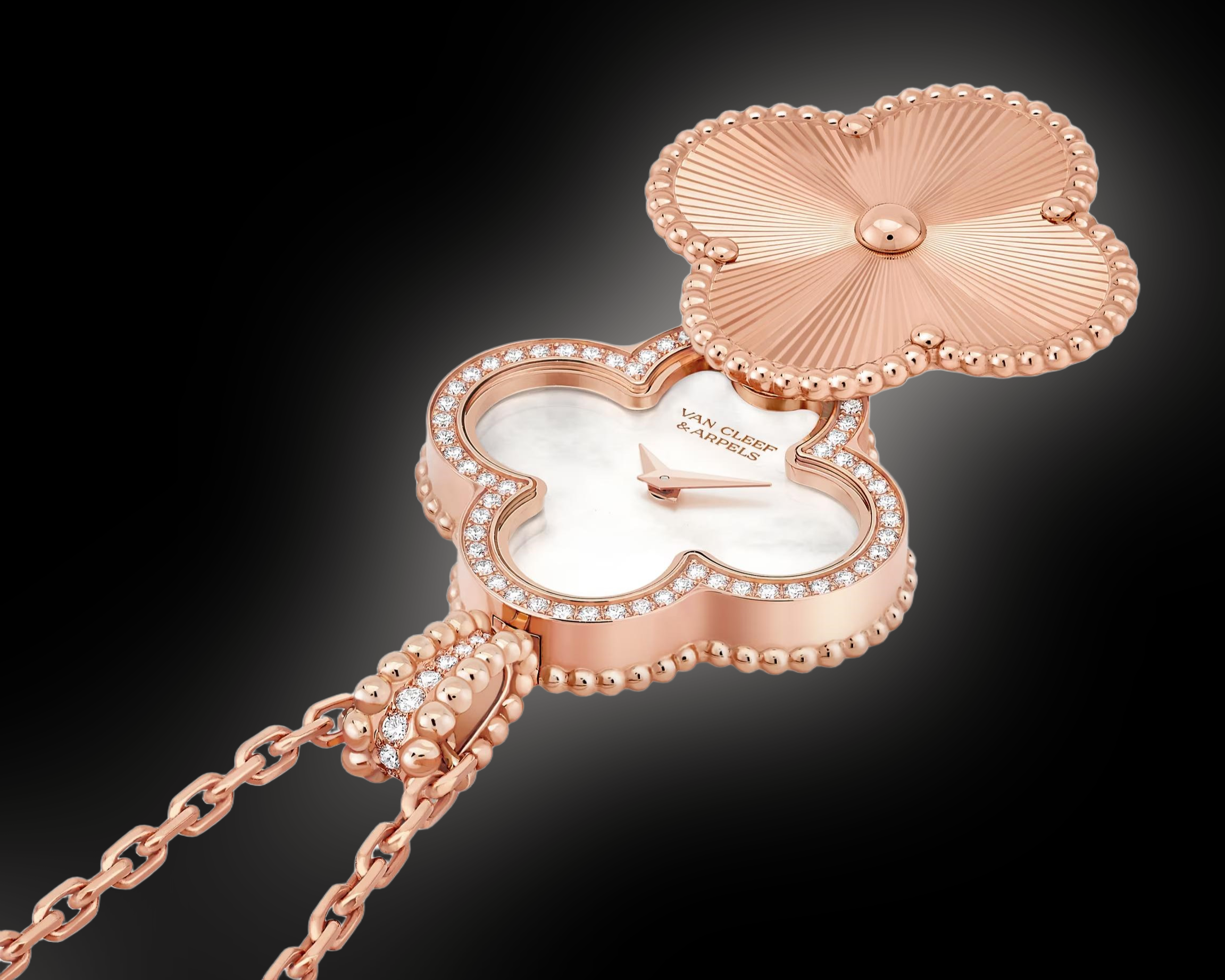 birefnet_final_1756459841_0323