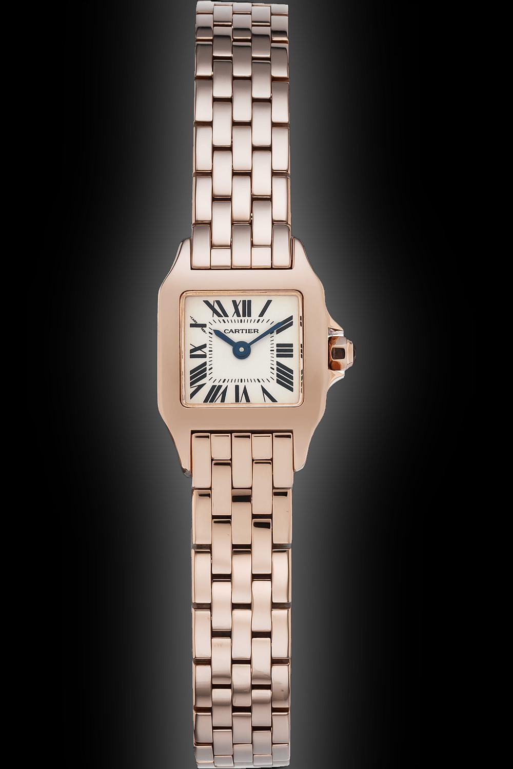 Cartier Santos Demoiselle W250 Silver Dial, 18kt Yellow Gold, 24.0