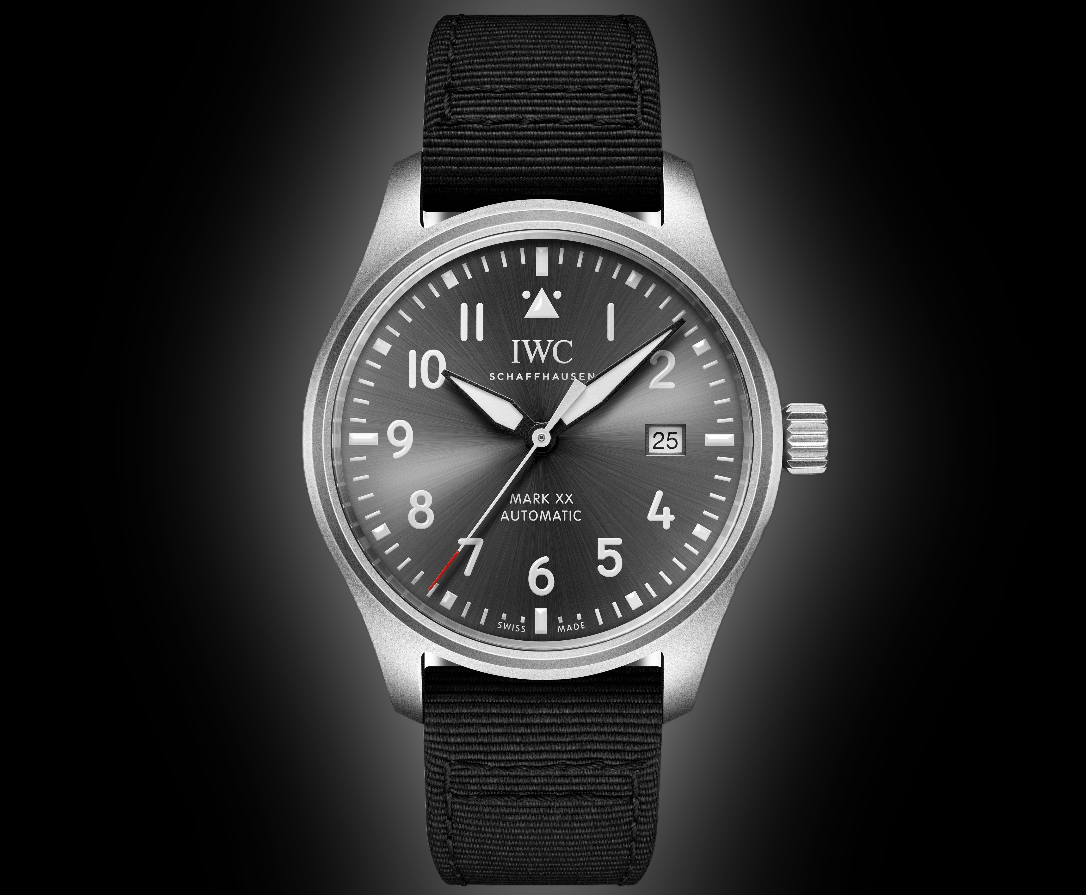 briaai_final_1736152525_46b9dd