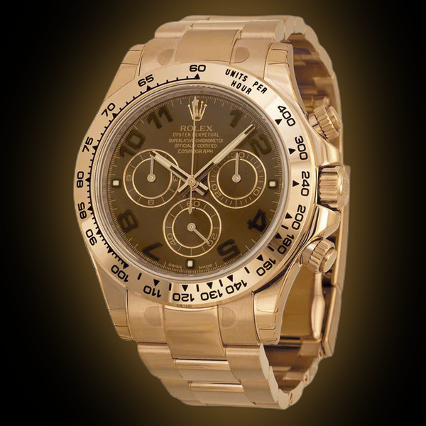 u2net_final_1726205194_46b9dd2