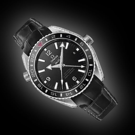 Omega Seamaster Planet Ocean 6000M 232.98 Black Dial, Platinum