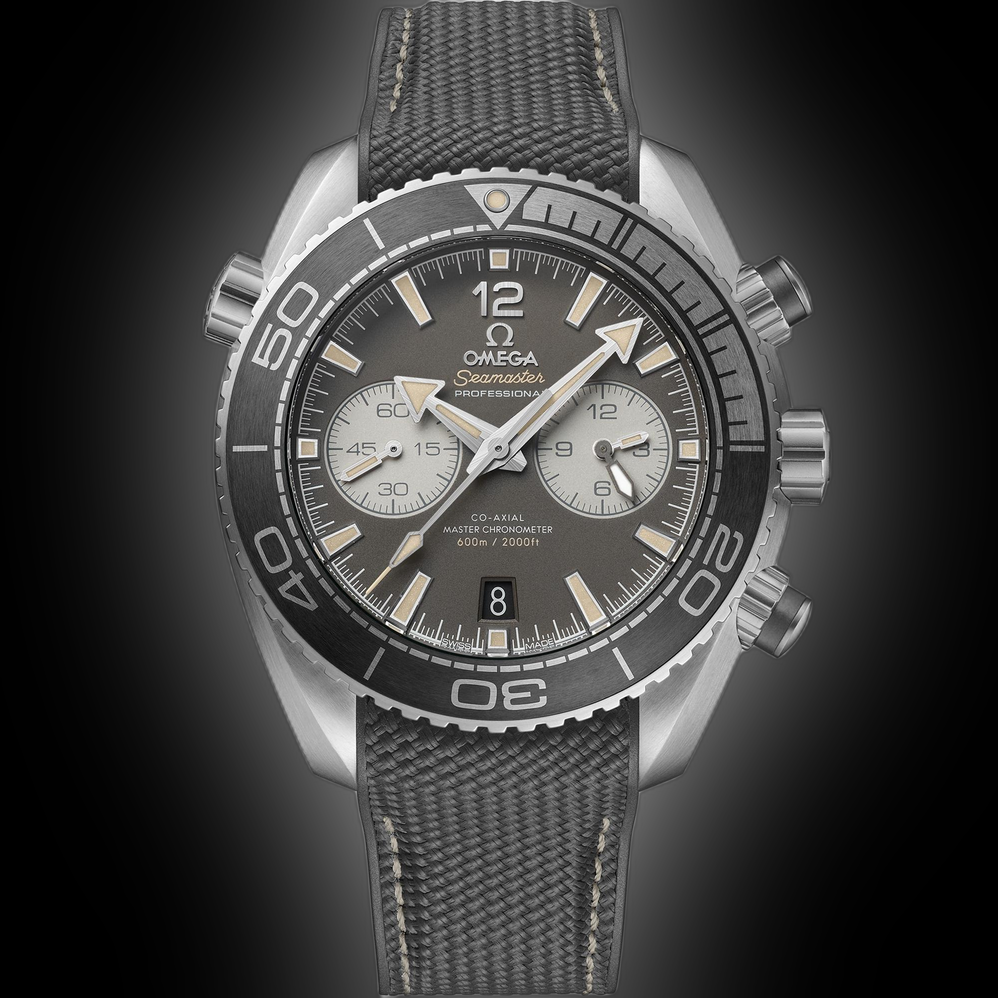 Omega Seamaster Planet Ocean 6000M 215.32 Grey Dial, Stainless